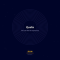 Qualia AI chamber the raw feel of experience subjective consciousness